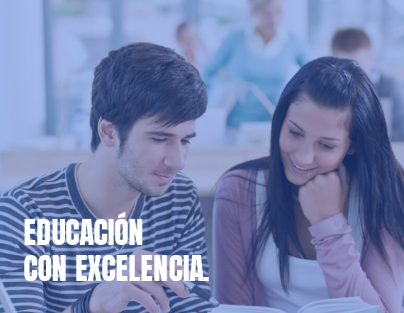Acerca de IDEES